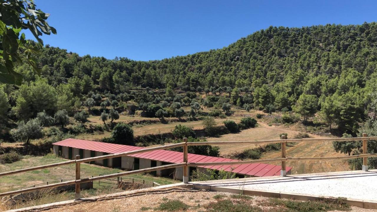 Masia Mas De La Creu Valderrobres Bagian luar foto